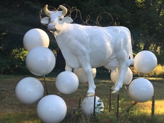 Vache